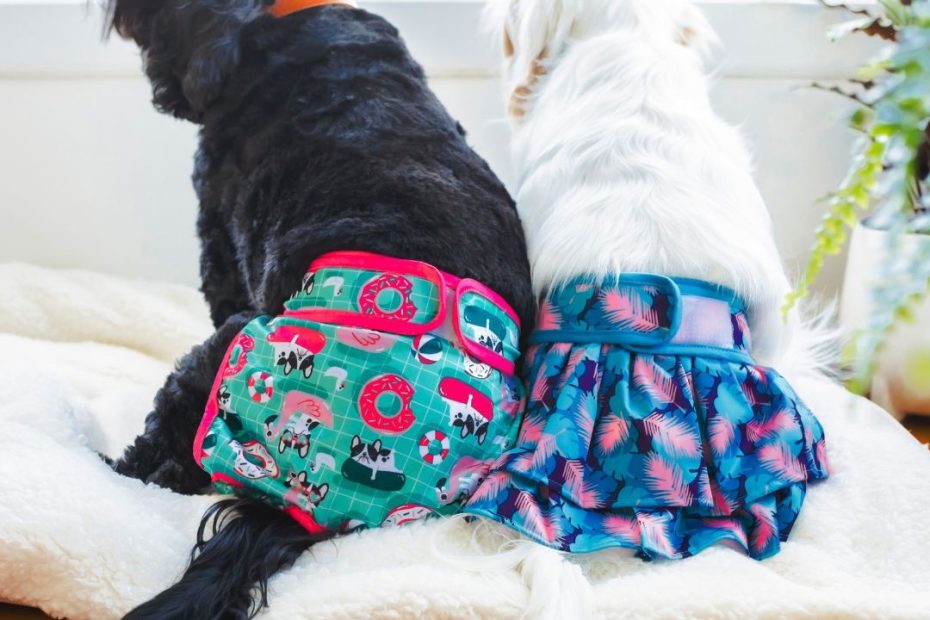 how-long-can-you-leave-a-dog-diaper-on-best-practices-for-pet-parents