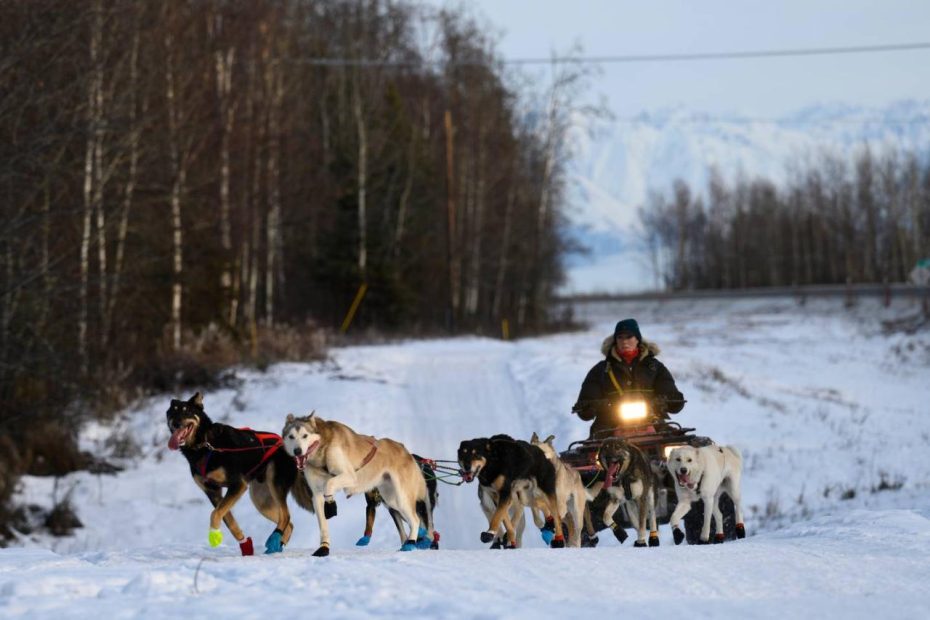 What Is The Prize Money For The 2021 Iditarod A Payout Breakdown