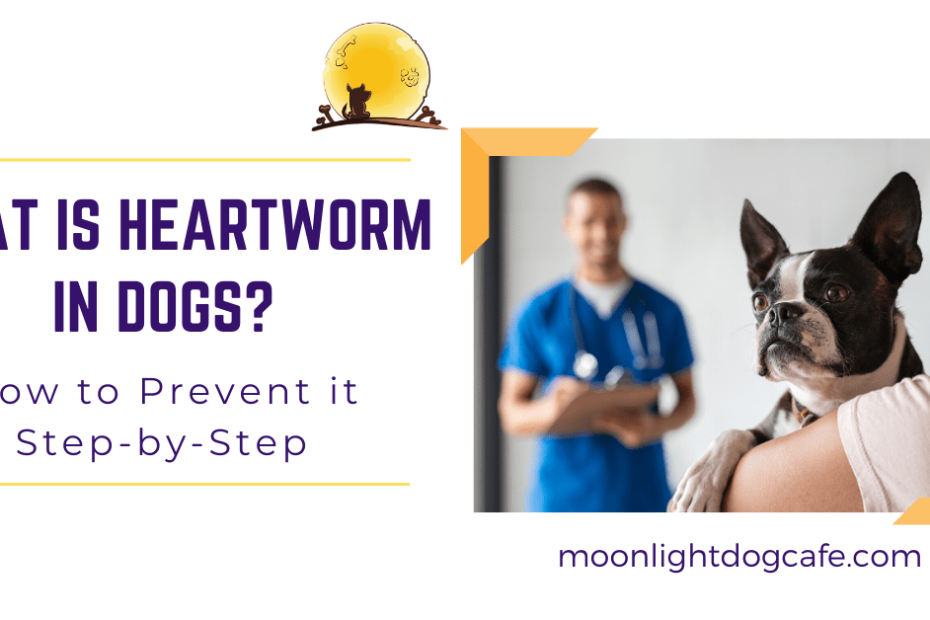 Heartworm In Dogs & What You Should Know About Heartgard, Revolution,  Proheart, Trifexis, Nexgard, Bravecto & Simparica. |