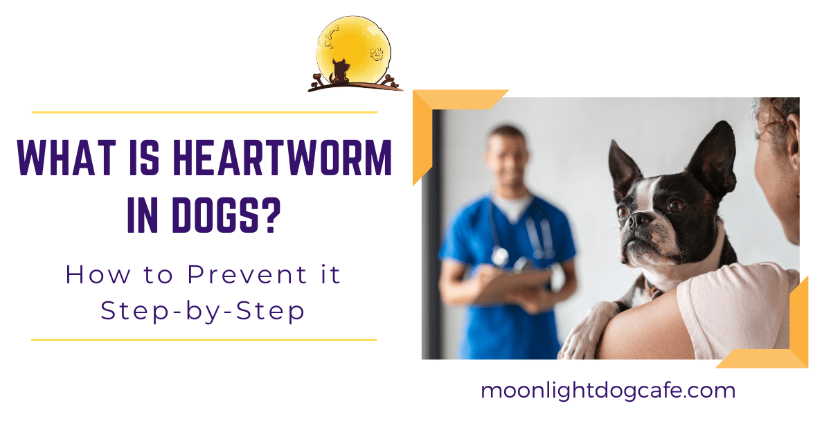 Heartworm In Dogs & What You Should Know About Heartgard, Revolution,  Proheart, Trifexis, Nexgard, Bravecto & Simparica. |