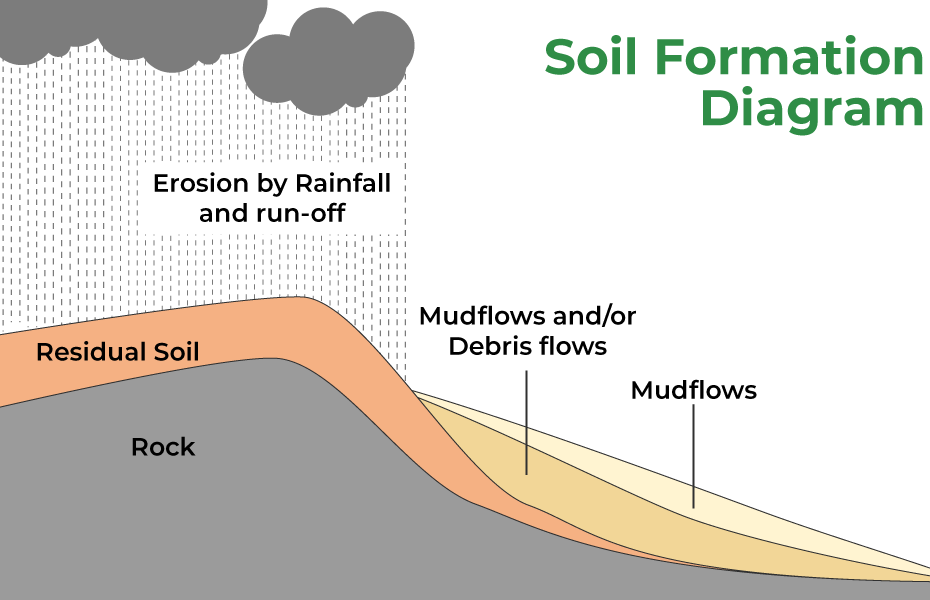 Soil Formation - Soil Profile, Classification And Faqs
