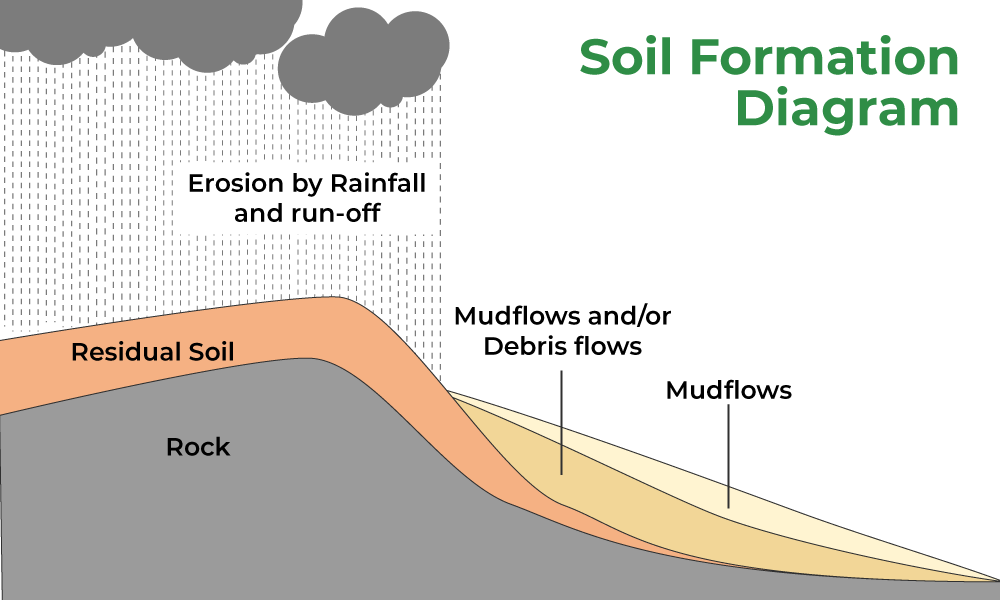 Soil Formation - Soil Profile, Classification And Faqs