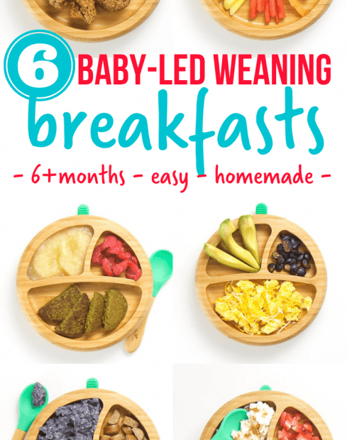 what-can-i-feed-my-9-month-old-for-breakfast-healthy-morning-ideas