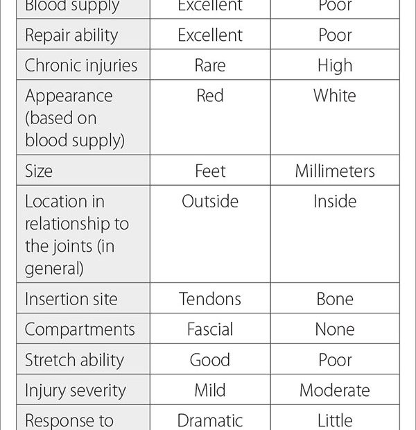 an-overview-of-low-back-pain-causes-risk-factors-and-treatment