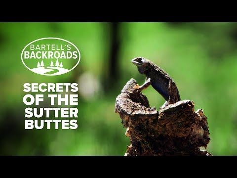 The Sutter Buttes, one of Northern California's best kept secrets | Bartell's Backroads