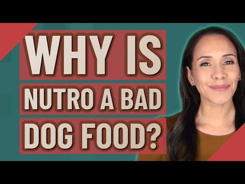 Why is Nutro a bad dog food?