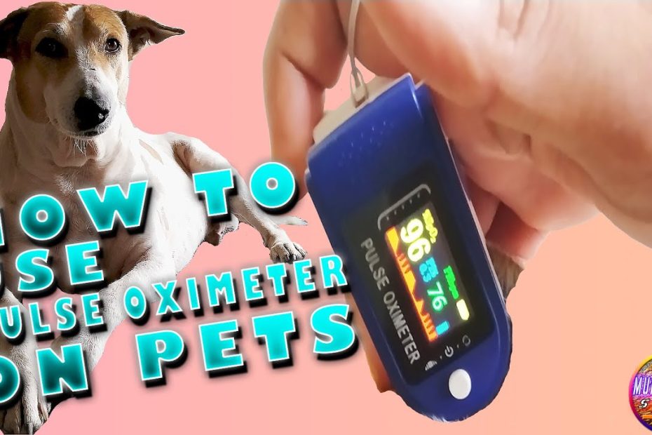 Can I Use An Oximeter On A Dog? - Mi Dog Guide