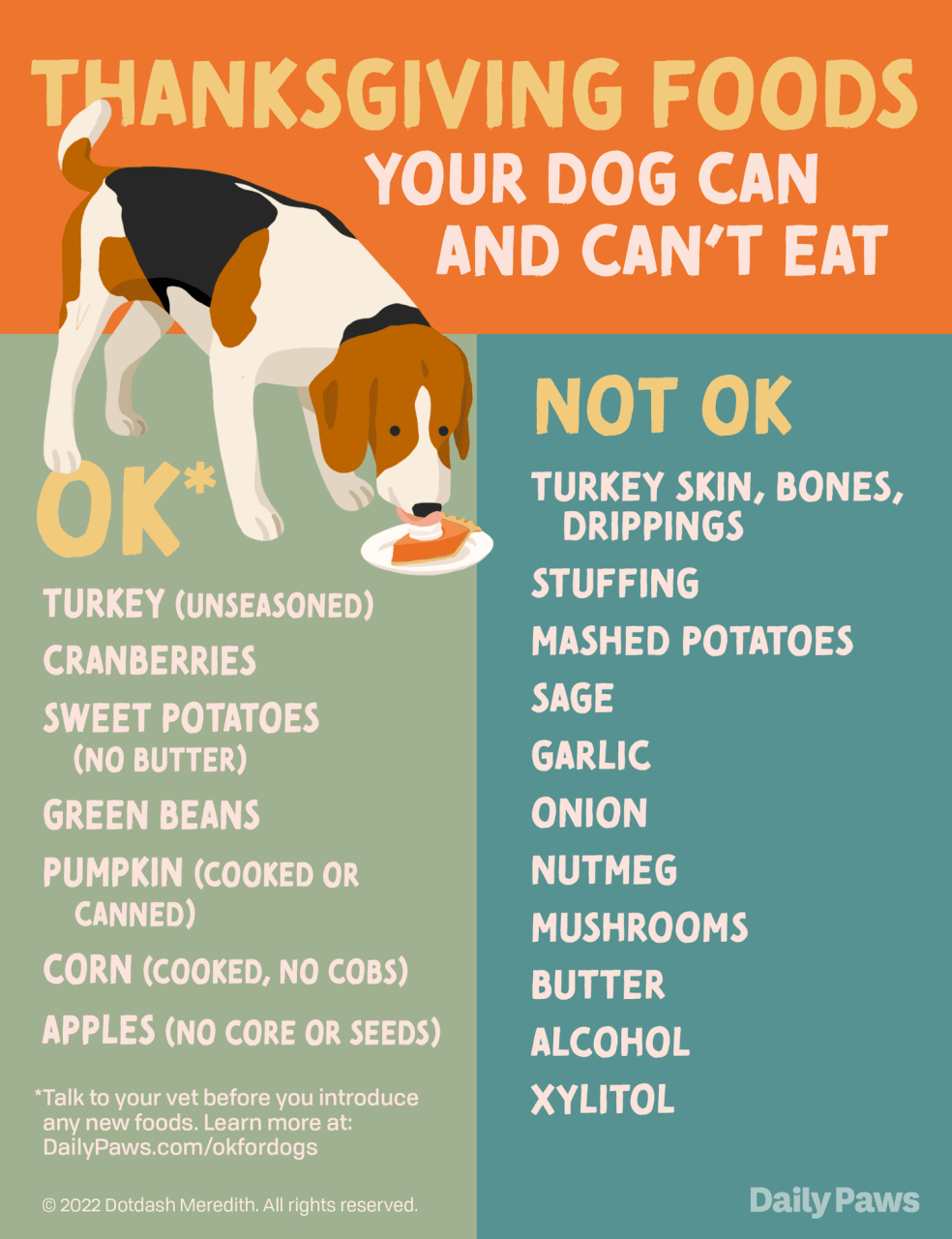 What Dogs Can Eat At Thanksgiving Feast