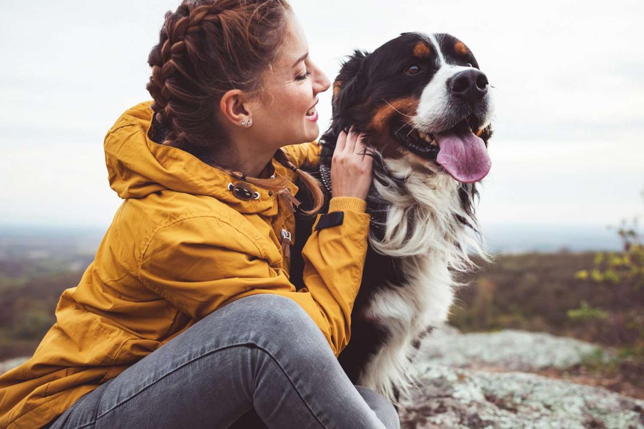 Why Dogs Make The Best Pets Unveiling Their Canine Charms